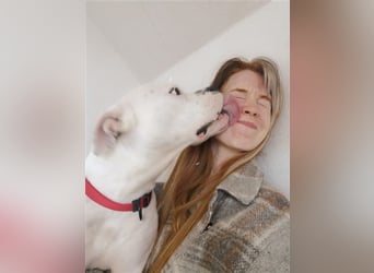 Branca - Knutschkugel sucht kompetente Pflegestelle