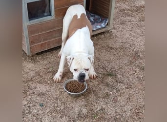 Erfahrene Pflege- oder Endstelle gesucht