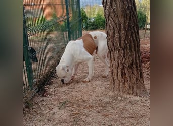 Erfahrene Pflege- oder Endstelle gesucht