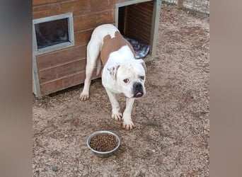 Erfahrene Pflege- oder Endstelle gesucht