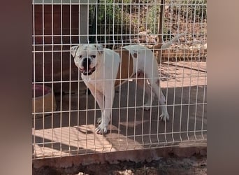 Erfahrene Pflege- oder Endstelle gesucht