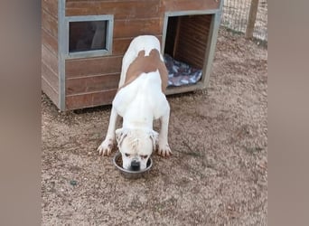 Erfahrene Pflege- oder Endstelle gesucht