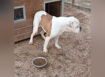 Erfahrene Pflege- oder Endstelle gesucht