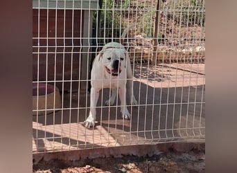 Erfahrene Pflege- oder Endstelle gesucht