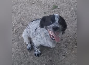 Winston ein Winziger Paket Freude