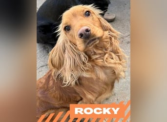 Rocky