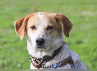 DOBY ✴️ hat ein Ticket für Deutschland -> auf Pflegestelle !!