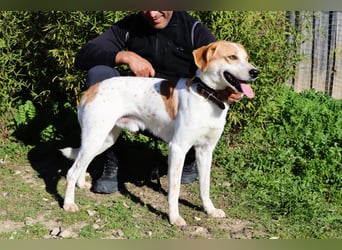 DOBY ✴️ hat ein Ticket für Deutschland -> auf Pflegestelle !!