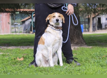 DOBY ✴️ hat ein Ticket für Deutschland -> auf Pflegestelle !!