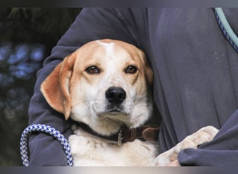 DOBY ✴️ hat ein Ticket für Deutschland -> auf Pflegestelle !!