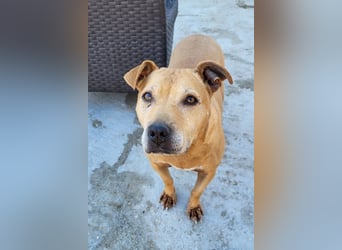 Tolle Piti-Mix-Lady ♥LIV♥ Vermittlung nur außerhalb der BRD