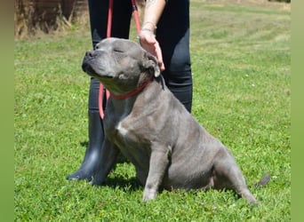 Bombolotto - Verliere bitte nicht die Hoffnung