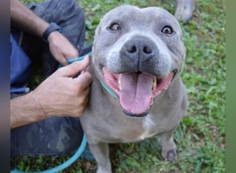 Bombolotto - Verliere bitte nicht die Hoffnung