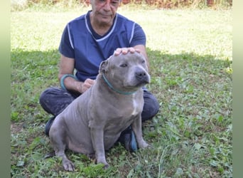 Bombolotto - Verliere bitte nicht die Hoffnung