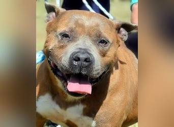 Rucola - auf der Suche nach dem vollkommenen Glück