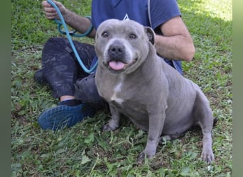 Bombolotto - Verliere bitte nicht die Hoffnung