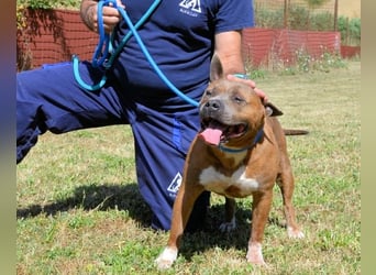 Rucola - auf der Suche nach dem vollkommenen Glück