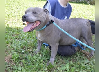 Bombolotto - Verliere bitte nicht die Hoffnung