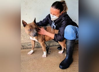 Rucola - auf der Suche nach dem vollkommenen Glück