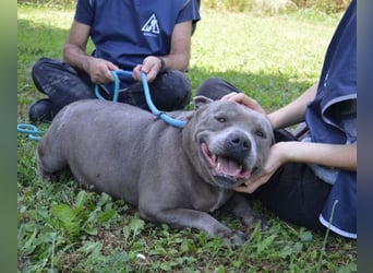 Bombolotto - Verliere bitte nicht die Hoffnung