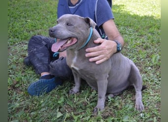 Bombolotto - Verliere bitte nicht die Hoffnung