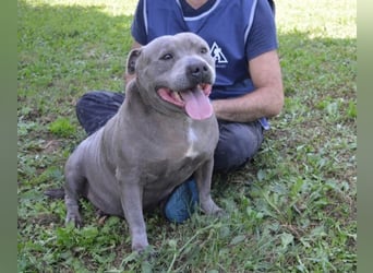 Bombolotto - Verliere bitte nicht die Hoffnung