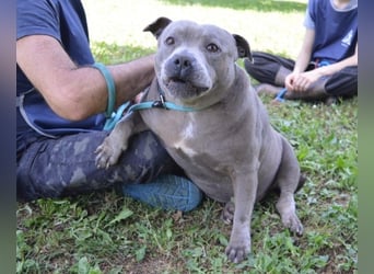 Bombolotto - Verliere bitte nicht die Hoffnung
