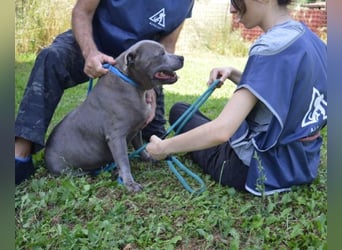 Bombolotto - Verliere bitte nicht die Hoffnung