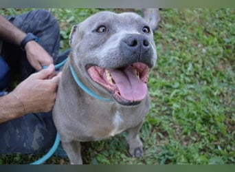 Bombolotto - Verliere bitte nicht die Hoffnung