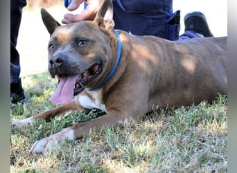 Rucola - auf der Suche nach dem vollkommenen Glück
