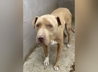 Bruno - menschenbezogen und neugierig