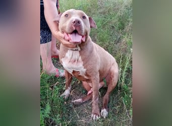 Bruno - menschenbezogen und neugierig