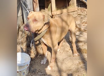 Bruno - menschenbezogen und neugierig