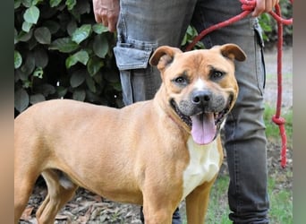 Rodolph - Die inneren Werte zählen