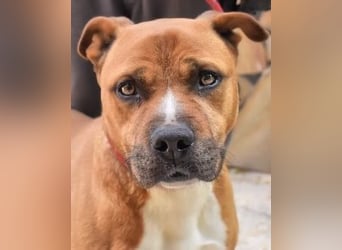 Rodolph - Die inneren Werte zählen