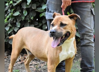 Rodolph - Die inneren Werte zählen