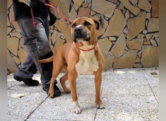 Rodolph - Die inneren Werte zählen