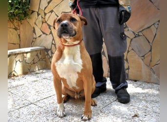 Rodolph - Die inneren Werte zählen