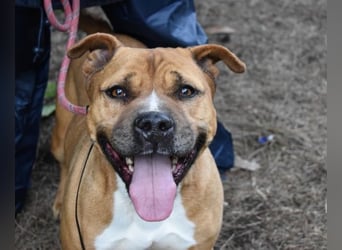 Rodolph - Die inneren Werte zählen