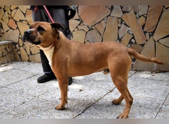 Rodolph - Die inneren Werte zählen