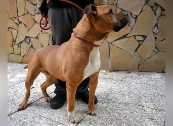 Rodolph - Die inneren Werte zählen