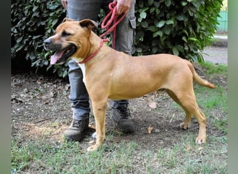 Rodolph - Die inneren Werte zählen