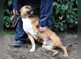 Rodolph - Die inneren Werte zählen