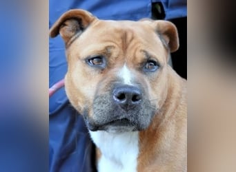 Rodolph - Die inneren Werte zählen