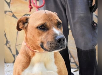 Rodolph - Die inneren Werte zählen