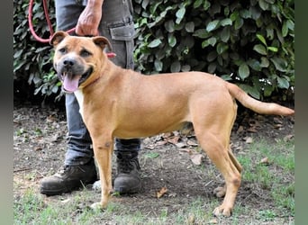 Rodolph - Die inneren Werte zählen