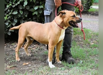 Rodolph - Die inneren Werte zählen