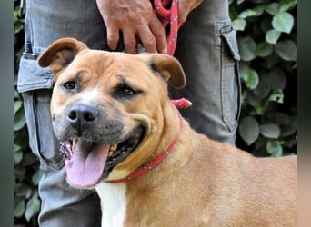 Rodolph - Die inneren Werte zählen