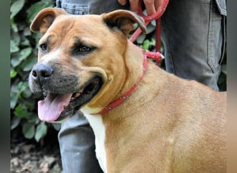 Rodolph - Die inneren Werte zählen