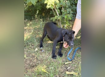 Valea KK – Sonnenschein sucht ihr "Für immer Körbchen" ✨